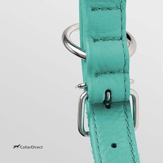 CollarDirect Rolled Leather Dog Collar, Soft Padded Round Puppy Collar, Handmade Genuine Leather Collar Dog Small Large Cat Collars 13 Colors (6-7 Inch, Mint Green Textured)
