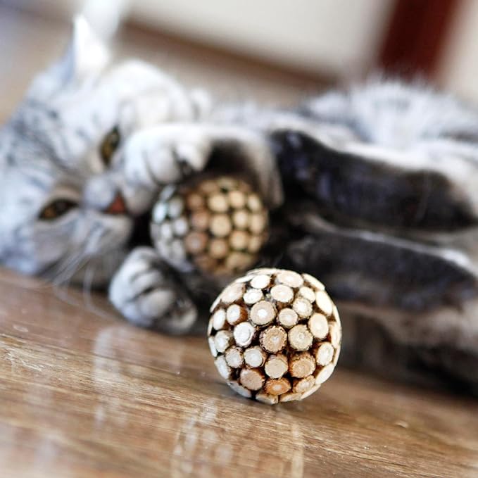 3PCS Cat Ball Toy,Silvervine Ball with Catnip Gall Fruit silvervine Sticks Powder Inside,Catnip Toys for Indoor Cats,Kitten Cleaning Teeth Cat Chew Toy