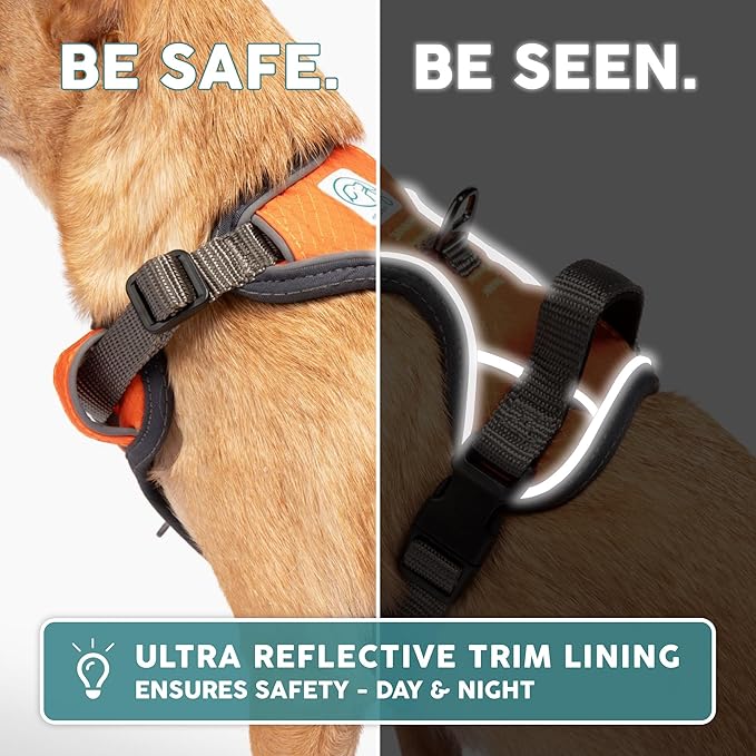 Embark Adventure Dog Harness, No-Pull Reflective Trim Dog Harness for Small, Medium & Large Dogs - Military Grade Nylon, 2 Leash Clips & Gel Lined Handle. Soft & Padded Puppy Dog Vest for Any Breed