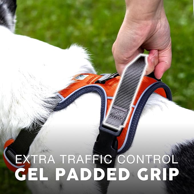 Embark Adventure Dog Harness, No-Pull Reflective Trim Dog Harness for Small, Medium & Large Dogs - Heavy Duty Oxford, 2 Leash Clips & Gel Lined Handle. Soft & Padded Puppy Dog Vest for Any Breed