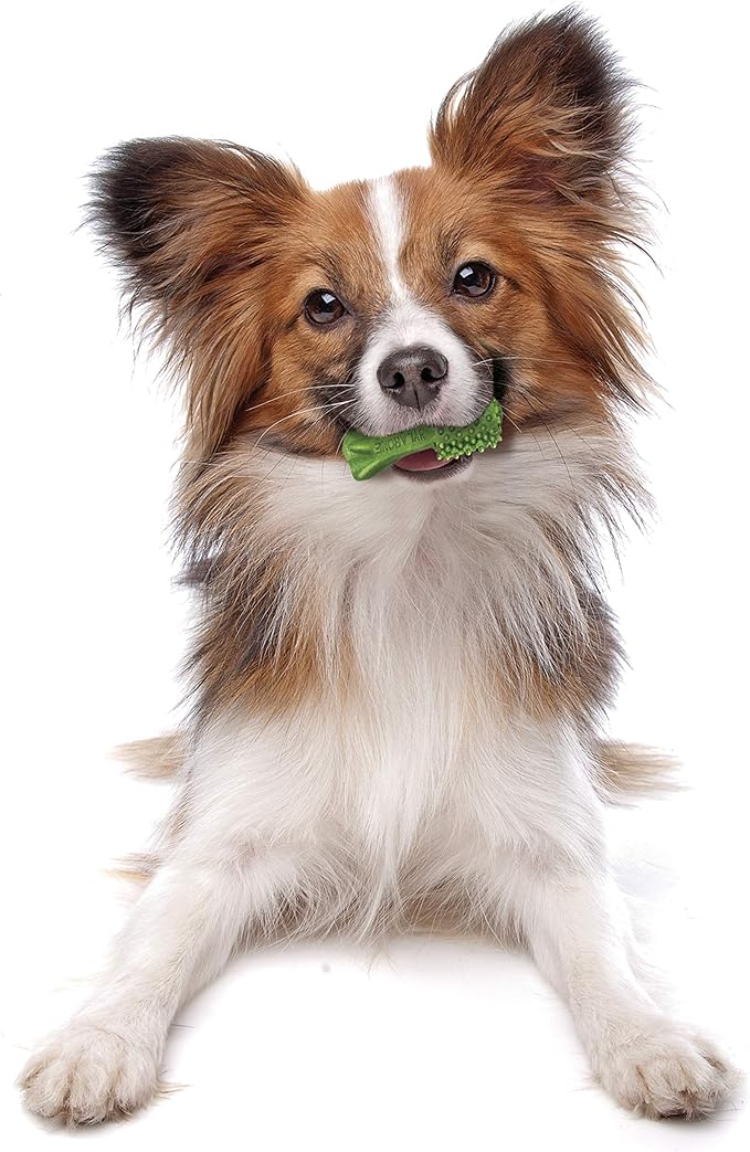 Nylabone Nutri Dent Dog Dental Chews - Natural Dog Teeth Cleaning & Breath Freshener - Dental Treats for Dogs - Fresh Breath Flavor, Mini (160 Count)