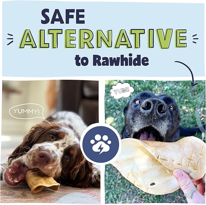 Pawstruck Natural Bizarre Cow Ears Bargain Bag – Rawhide-Free, Highly Digestible, Low Calorie & Long-Lasting Chew Treat for All Breeds – 1.5 lb Bag