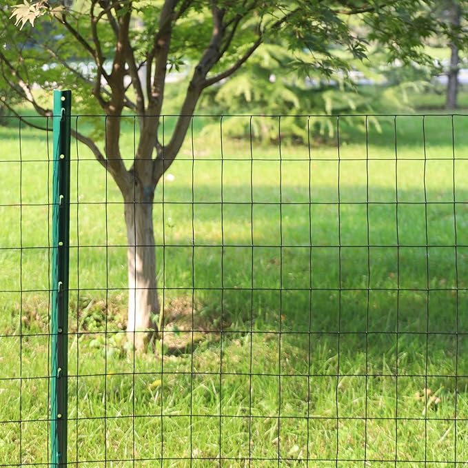 Black PVC Coated Welded Wire Fence 36 Inch x 25 Foot, 2 Inch x 3 Inch 16GA, Garden Border Fencing Roll Vinyl Coating Metal Wire Mesh for Yard Vegetable Plant Protection Poultry Netting