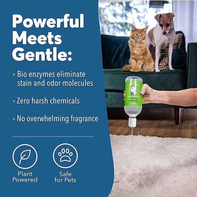 Dog & Cat Urine Stain and Odor Eliminator for Carpet, Upholstery, Hard Floors - Single 24 oz., Grapefruit Tea Tree Scent, Enzyme Bio-Active Formula with Squeeze and Spray Top