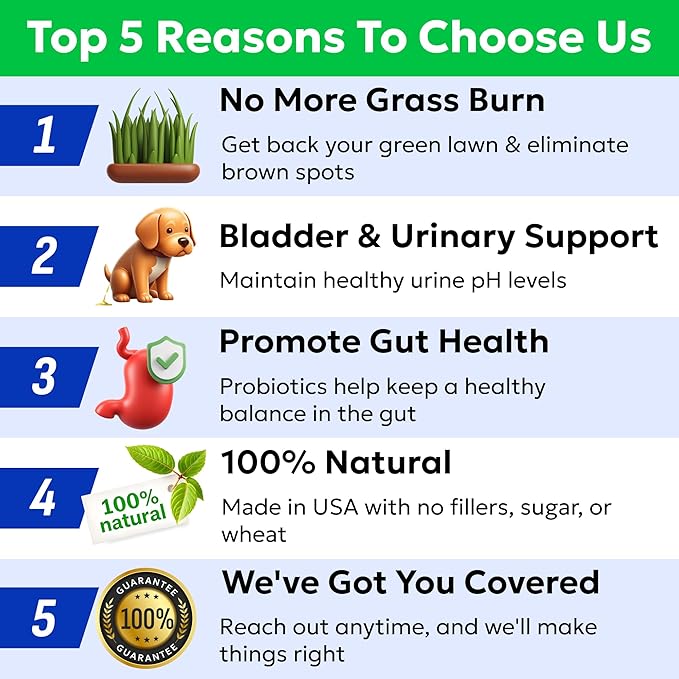 BARK&SPARK Green Grass Chews - Pee Grass Spot Saver Caused by Dog Urine - Urine Neutralizer for Lawn, Gut Health Probiotics & Digestive Enzymes,Lawn Burn from Dog Urine, Grass Burn Spot Chews (240Ct)