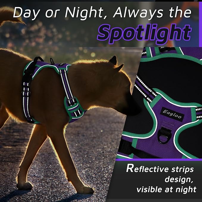 Eagloo Dog Harness Small Sized Dog, No Pull Service Vest with Reflective Strips and Control Handle, Adjustable and Comfortable for Walking, No Choke Pet Harness with 2 Metal Rings, Purple & Green, S