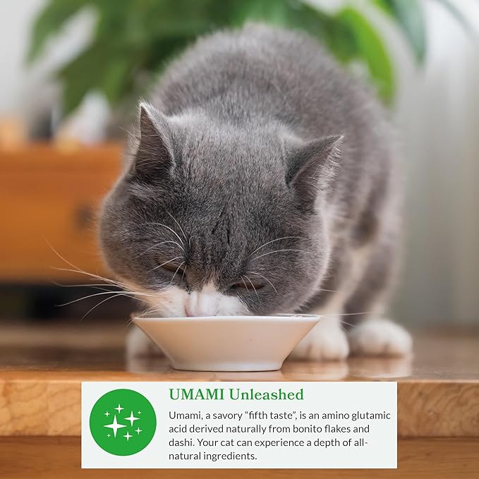 INABA Dashi Delights for Cats, Shredded Chicken with Bonito Flake Broth, 2.5 Ounce Cup, 12 Cups Total, Seafood Variety