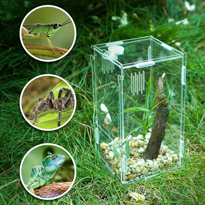 BETAZOOER Acrylic Mini Reptile Tank Habitat Transparent Terrariums with Locking Latch Suitable for Tarantula Isopod Roach Invertebrates (4''x4''x8'')