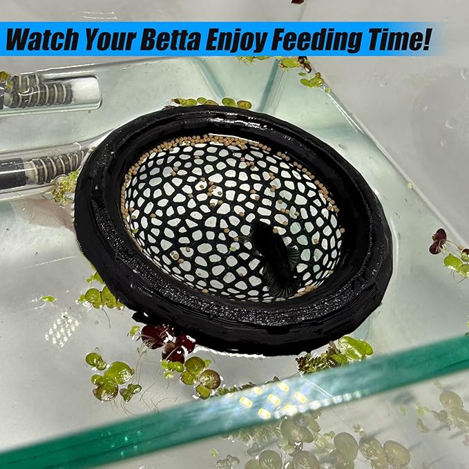 Aquarium Floating Betta Fish Skins, Betta or Shrimp Feeder, Cave and Hammock, Small Fish Feeding Rings, Aquarium Hiding Feeding Decorative Accessories (Blue)