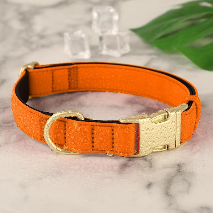 Didog Soft Padded Dog Collar for Large Dogs, Colorful and Durable Pet Collar with Quick Release Buckle, Light and Breathable for Daily Walking, Orange, L