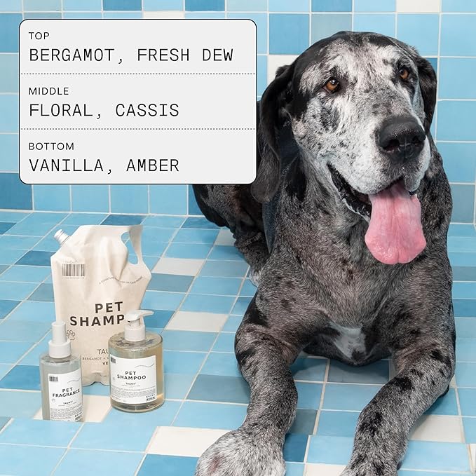 DedCool Pet Shampoo (01 Taunt, Mini 2 oz) Tear-Free, for Sensitive Skin, Hypoallergenic, Dry Skin & Itch Relief, Deodorizing Shampoo & Conditioner for Dogs & Cats, Vegan, Clean, Non-Toxic