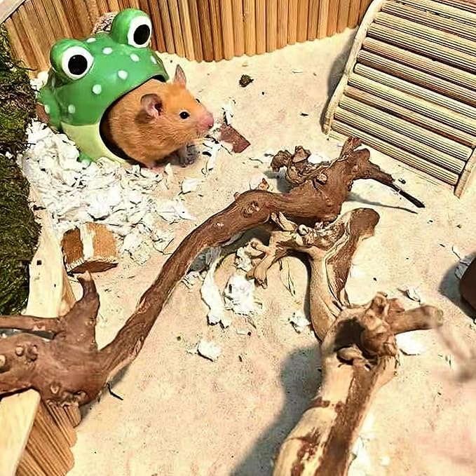 DR.DUDU Hamster Bath Sand, 2.8lb Dust Free Desert Sand or Potty Litter Sand for Hamster Chinchillas Gerbil Syrian Mice Small Animals (Beige, Flower Smell)