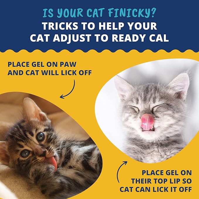 Under the Weather Pet | Ready Cal for Kitten | High Calorie Pet Nutritional Supplement for Weight Gain & Healthy Weight Maintenance | 10 Vitamins, 7 Minerals, Omega Fatty Acids & Carbohydrates | 80cc