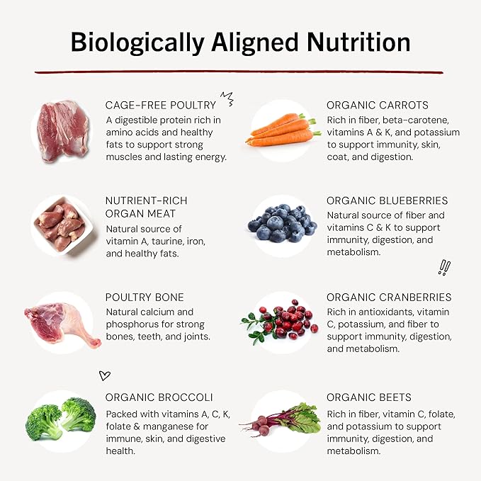Stella & Chewy's Freeze-Dried Raw Dinner Patties - Duck Duck Goose Recipe - High Protein Grain-Free Puppy & Dog Food - Perfect For Picky Eaters - 5.5 oz