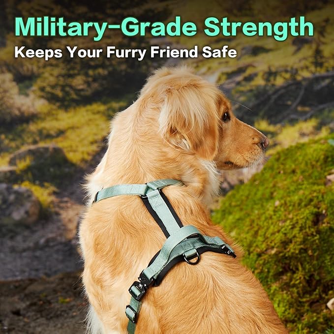 CLEPAWS Dog Harness for Small Dogs, No Pull Dog Harness Easy Walk with Metal Hardware, Ergonomic Y-Shaped Design, Soft Padding, Padded Handle, Durable High-Tensile Nylon (Seabreeze, S)