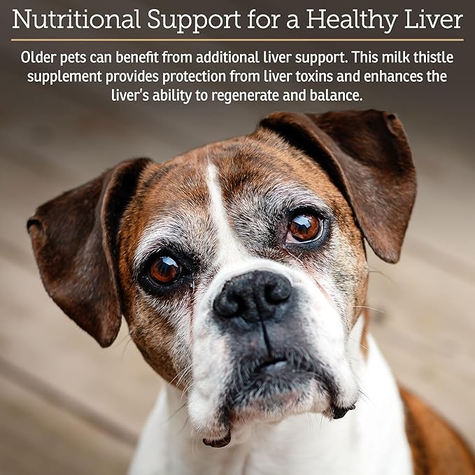 Rx Vitamins Liquid Hepato Support for Dogs & Cats - Liver Support Supplement with Milk Thistle for Dogs (Silymarin & Silybinin) and Vitamin B - Bacon Flavor (4oz)