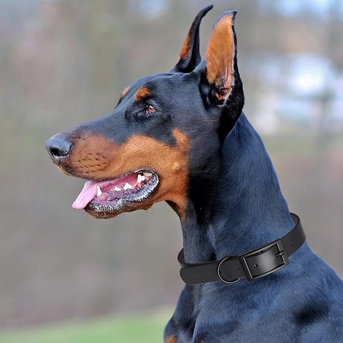 Dogline Biothane Waterproof Dog Collar Strong Coated Nylon Webbing with Black Hardware Odor- Proof for Easy Care Easy to Clean High Performance Fits Small Medium or Large Dogs, Black