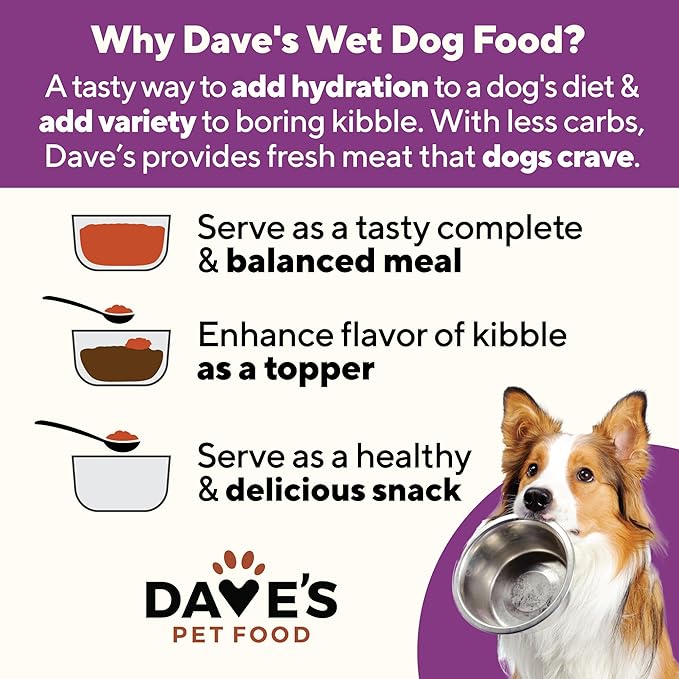 Dave's Pet Food Weight Management Dog Food (Turkey & Vegetables), Made in USA, Weight Loss, Soft, Canned Wet, 13.2oz (12 Pack)