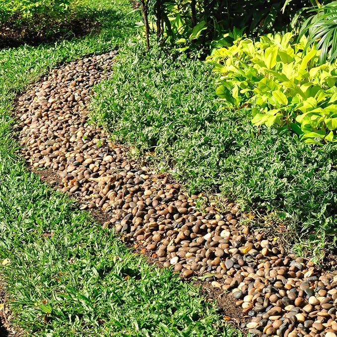 5lbs Aquarium Rocks, 5/8" Natural Mixed Pebbles for Plants Decorative Polished River Rocks for Fish Tank, Landscaping, Gardening, Flower Pots, Vase Fillers, Indoor Water Fountains