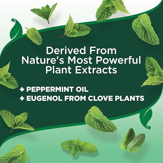 Vet's Best Flea and Tick Yard & Kennel Spray, Dog Flea Spray that Kills Fleas, Mosquitoes, & Ticks, Plant-Based Ingredients, Plant Safe Ready-to-Use Hose Attachment, 32 fl oz