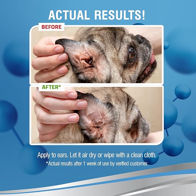 PetSilver Ear Cleaner for Dogs & Cats – Gentle Otic Rinse with Chelated Silver Formula – Supports Clear, Comfortable Ears – Easy to Use – Thoughtfully Made in The USA with Care – 8 fl oz