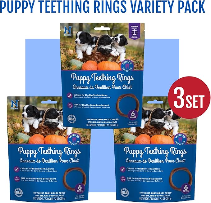N-Bone Puppy Teething Rings Pumpkin Flavor 6 Count Bag Multi Pack, Total 3 Bags, 21.6-oz (18 Rings)