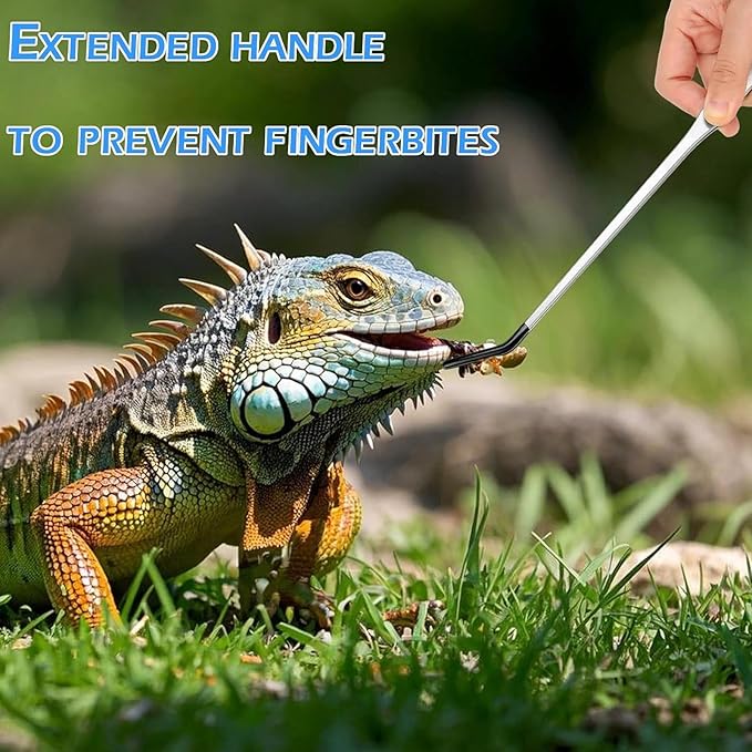 4PCS-Rubber Tip Feeding Tongs for Reptiles Extra Long Stainless Steel Reptile Feeding Tongs Terrarium Tools Feeder for Lizards Bearded Dragon Snake Enclosure Tank Accessories