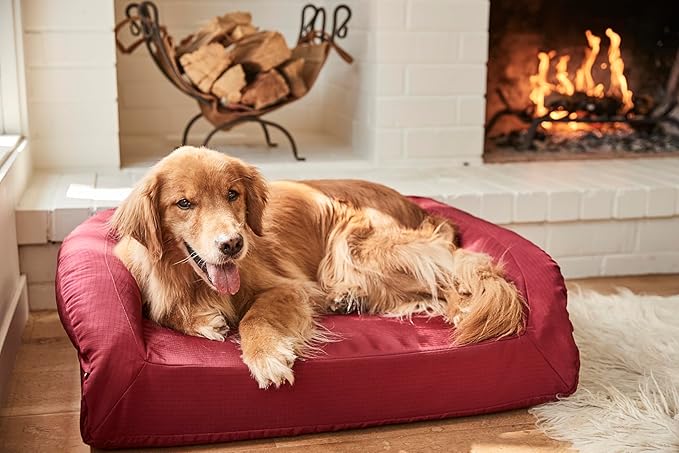 K9 Ballistics Tough Bolster Orthopedic Sofa Dog Bed with Removable Washable Cover - Durable, Water Resistant with Nonskid Bottom - XX-Large, Taupe Premium Finish