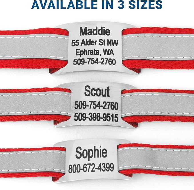 GoTags Reflective Personalized Dog Collar with Nameplate, Adjustable Dog Collar with Custom Engraved Steel Slide On Pet ID Tag, Silent, No Noise Dog Tag for Large Medium or Small (Red, Large)