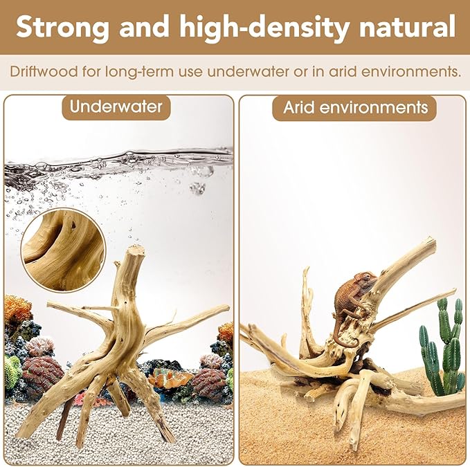 Natural Large Spiderwood Driftwood for Aquarium Decor Rptile Fish Tank Decoration Assort Branch 7-11'' 3 Pcs