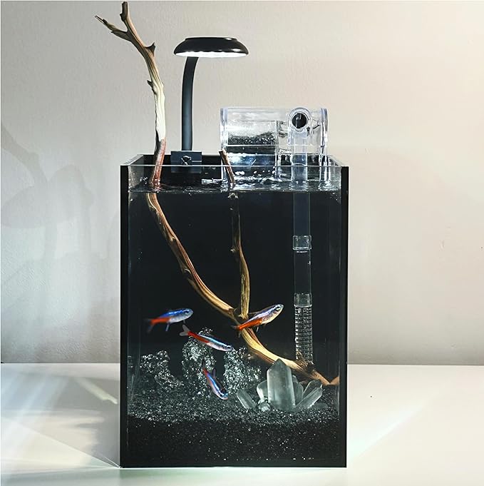 Nano Aquarium Kit,1.5 Gallon Rimless Small Glass Tank with Filter, Aquarium Light, and Aquascaping Decorations, for Home and Office (Black Tank - White Crystal, Small)