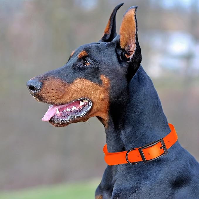 Dogline Biothane Waterproof Dog Collar Strong Coated Nylon Webbing with Black Hardware Odor- Proof for Easy Care Easy to Clean High Performance Fits Small Medium or Large Dogs, Hunter Orange