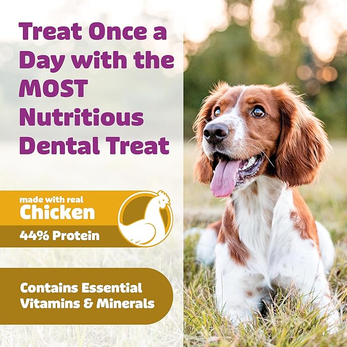 Dog Dental Treats – Vet VOHC Approved – Delicious Chicken Protein – Removes Tartar with Cleaning Comb Shape – Dental Dog Treats for Small Dogs (12oz, 21 Count)