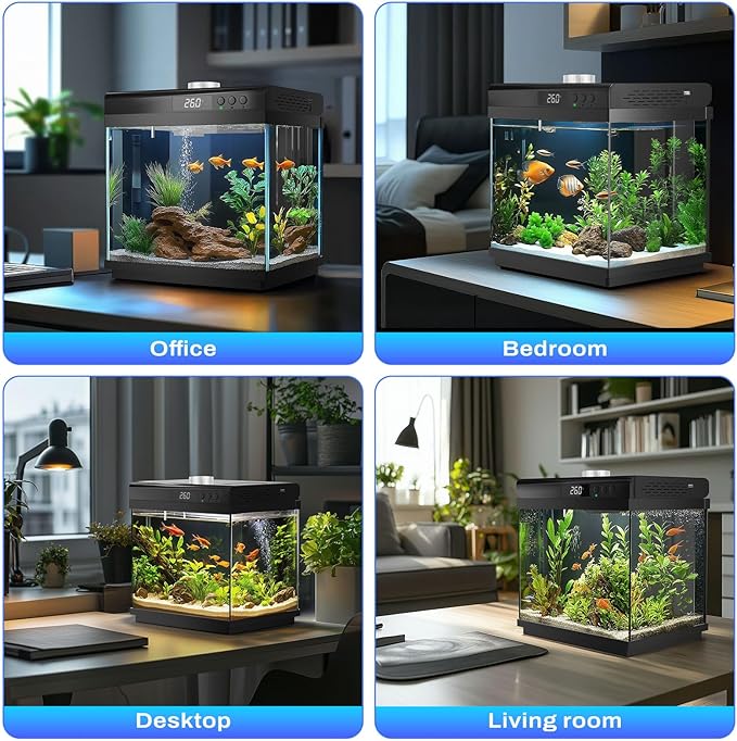 AQQA 3.7 Gallon Aquarium Starter Kit Small Glass Fish Tank with Filter and Light (10 Colors Adjustable) Desktop Self-Cleaning Betta Fish Tank Kit Office & Home Decor Idea (Black)