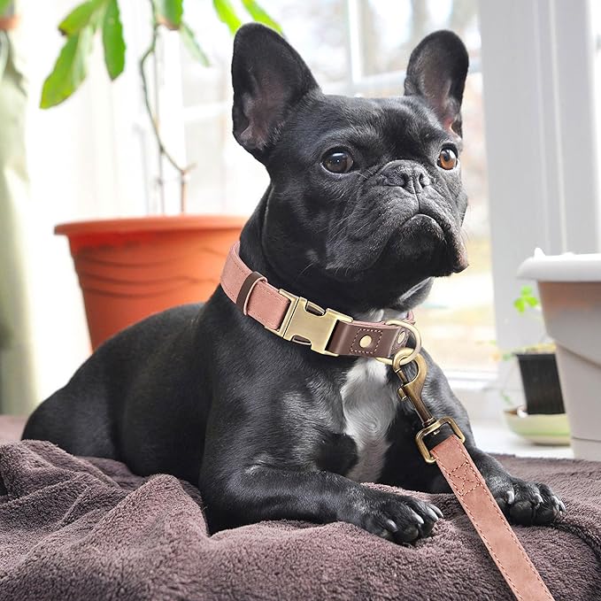 Didog Soft PU Leather Dog Collars for Medium Dogs,Classic Adjustable Dog Collars with Quick Release Metal Buckle,Easy Clean and Comfortable with Nylon Lining,Pink,M Neck 13-19"