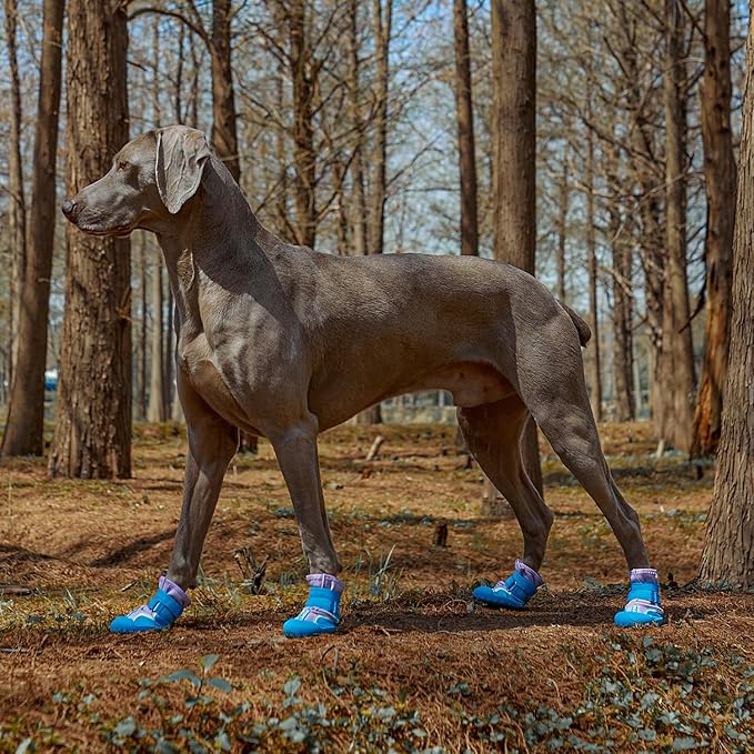 Dog Shoes, Waterproof Dog Boots & Paw Protectors with Anti-Slip Sole, 4pcs/Set Pet Dog Booties, Reflective Dog Shoes for Small Medium Large, Winter Snowy Summer Hot Pavement (Blue, 3# (XS))