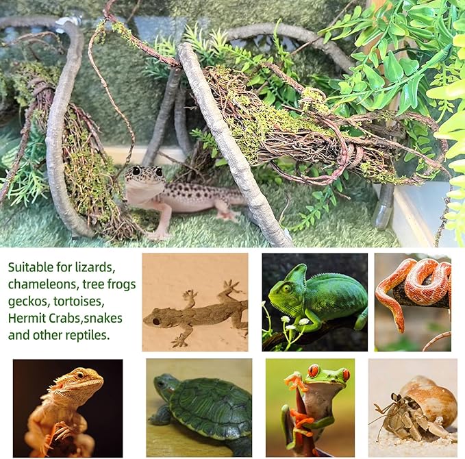 BNOSDM Reptile Vines,Bendable Jungle Climbing Vine,Terrarium Plants Artificial Decor,Tank Decorations Accessories for Bearded Dragons Chameleons Snakes Lizards Hermit Crabs