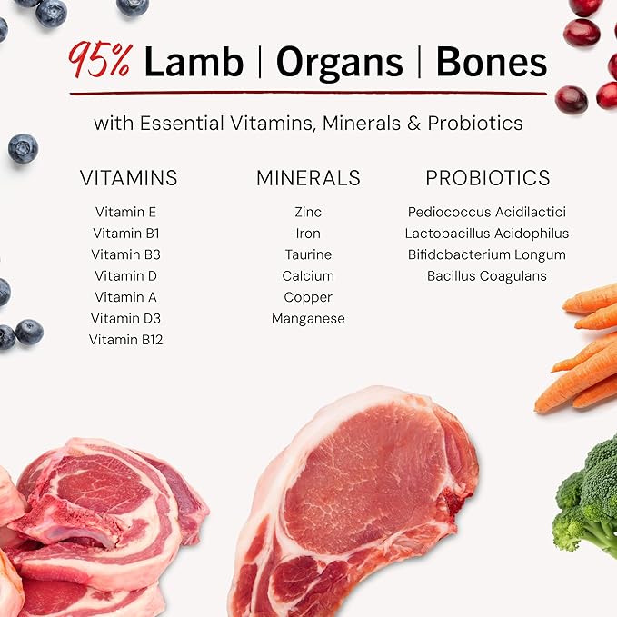 Stella & Chewy's Freeze-Dried Raw Dinner Patties - Dandy Lamb Recipe - High Protein Grain-Free Puppy & Dog Food - Perfect For Picky Eaters - 14 oz