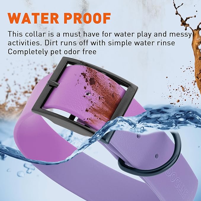 Dogline Biothane Waterproof Dog Collar Strong Coated Nylon Webbing with Black Hardware Odor- Proof for Easy Care Easy to Clean High Performance Fits Small Medium or Large Dogs, Amethyst Purple