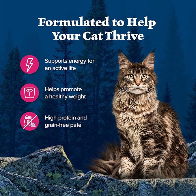 Blue Buffalo Wilderness Natural High-Protein Grain-Free Wet Food for Adult Cats, Salmon Paté, 5.5-oz. Cans, 24 Count