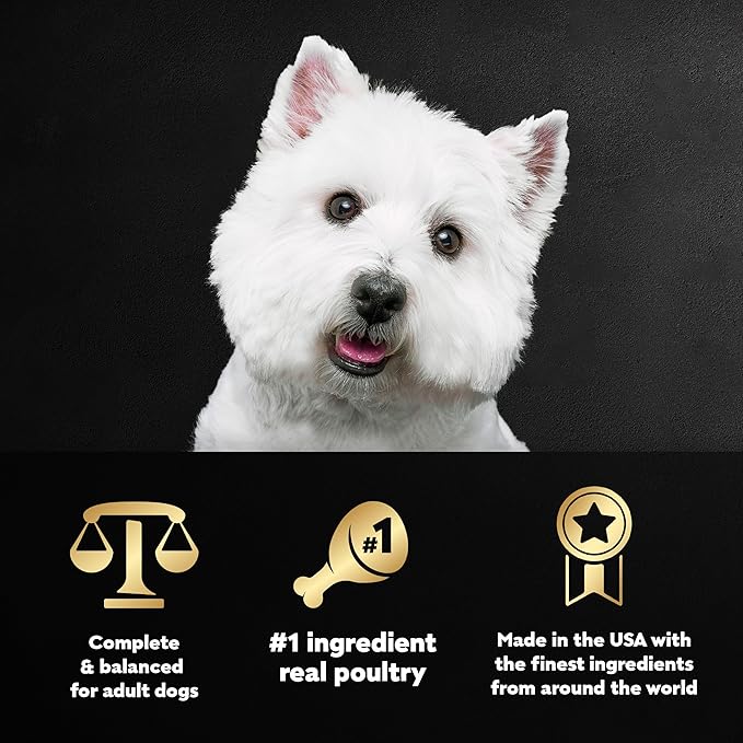 Cesar Filets in Gravy Adult Wet Dog Food, Poultry Lovers Multipack, 3.5 oz. (12 Count, Pack of 2)