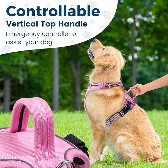 Funfox Dog Harness No Pull, Adjustable Pet Vest Harness, Super Soft Material with Vertical Handle Easy Control, Reflective Night Walking, 2 Leash Clips for Medium Sized Dogs, Pink, M