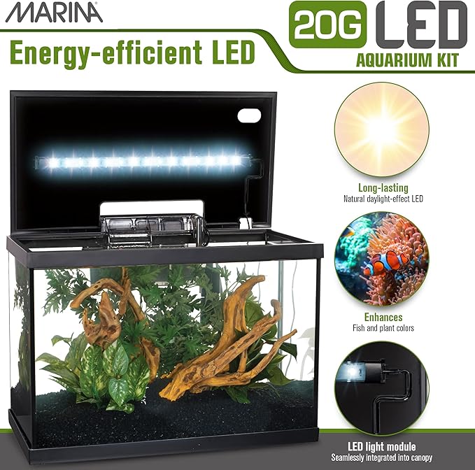 Marina Aquarium Kit - 20 gallon Fish Tank - LED