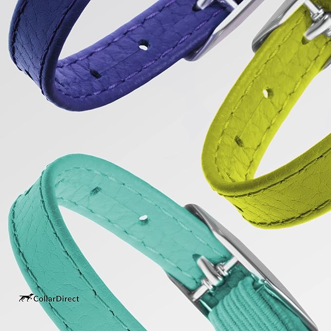 CollarDirect Leather Cat Collar, Cat Safety Collar with Elastic Strap, Kitten Collar with Bell Black Blue Red Orange Lime Green (8-11 Inch, Mint Green)