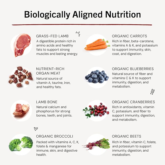 Stella & Chewy's Freeze-Dried Raw Dinner Patties - Dandy Lamb Recipe - High Protein Grain-Free Puppy & Dog Food - Perfect For Picky Eaters - 5.5 oz