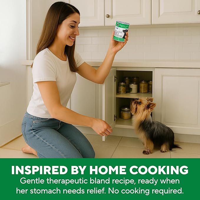 Dave's Pet Food Bland Dog Food (Lamb & Rice), Canned Wet Dog Food for Sensitive Stomachs, Gluten-Free, Digestive Care, 13.2 oz (Case of 12)