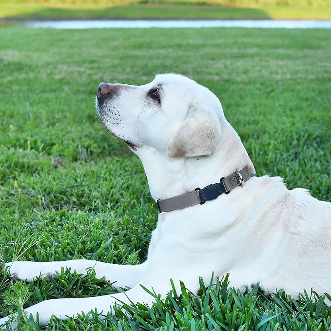 Dogline Biothane Waterproof Dog Collar with Herm Sprenger Stainless Steel Quick Release Buckle – Heavy Duty Tactical Durable Collar for Dogs – Comfortable and Safe Pet Collar, W 3/4" L 12-19", Gray