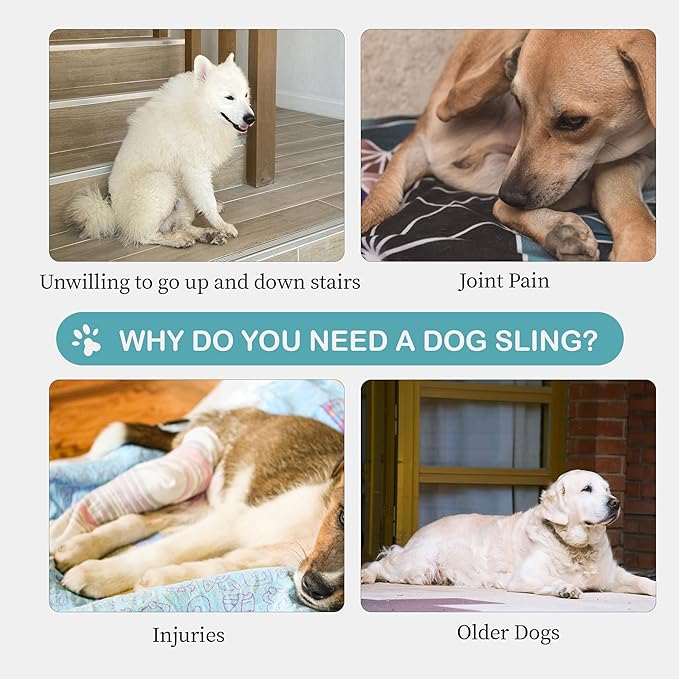 Dog Lift Harness for Extra Large Dogs – Hind Leg Support with Chest Stabilizer Straps, Adjustable Elastic and Buckles, Helps with Hip Dysplasia, Joint Pain, and Mobility, Easy to Wear, XL