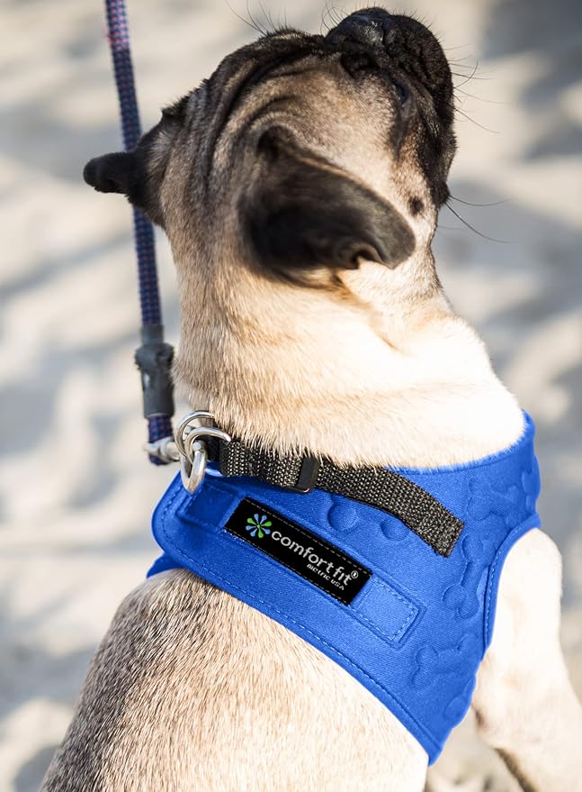 Comfort Fit Dog Harness No Pull with 2 Leash Clips Step in Harness for Small Sized Dogs Soft Padded Comfortable All Weather Dog Vest with Easy Control Adjustable Buckles for Dogs & Puppies – Blue XS