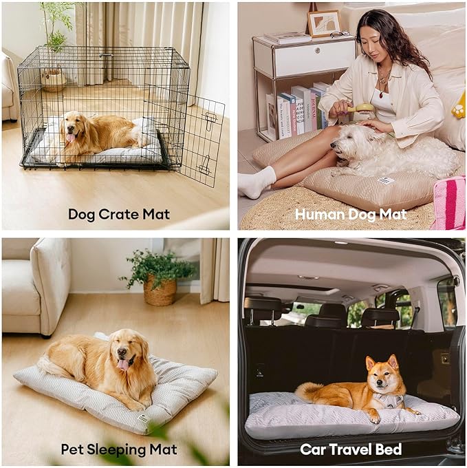 FUNNY FUZZY 24x18 Washable Dog Bed Reversible Crate Mat, 2 in1 Orthopedic Puppy Bed for Small Dogs/Cats, Fluffy Deluxe Kennel Mattress,Sleeping Pad,Charcoal Grey,S